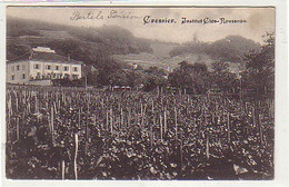 25118 Ak Cressier Institut Clos Rousseau Schweiz Um1910 - Cressier
