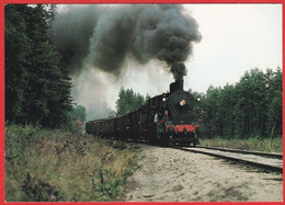 NORWAY 2.8.1981 KRØDERENBANEN «Veteran Steam Locomotive Type 24b 236 Between Sysle And Snarum Stations» - Altri & Non Classificati