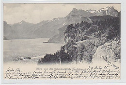 32195 Ak Blick Von Der Schwändifluh (Seelisberg) 1905 - Schwändi