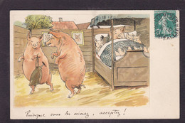 CPA Cochon Pig Circulé Position Humaine - Schweine