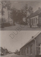 Postkaart - Carte Postale MEERHOUT - Gestel - Steenweg Naar Genendijk  - Repro! Genummerd (C236) - Meerhout