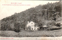 Carte 1909 SAINT DIE / MAISON FORESTIERE DES MOLIERES - Saint Die