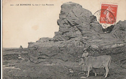 LA BERNERIE. - Les Rochers. Vache Et Sa Gardienne. Cliché RARE - La Bernerie-en-Retz