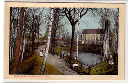 42038 Ak Kreuzeiche Bei Limbach In Sachsen Um 1910 - Ohne Zuordnung