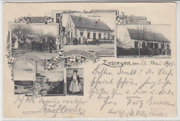 43360 Mehrbild Ak Ziebingen Gasthaus Usw. 1901 - Ohne Zuordnung