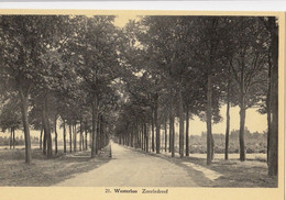 Postkaart/Carte Postale WESTERLO - Zoerledreef (C277) - Westerlo