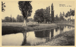 Postkaart/Carte Postale WESTERLO - Het Riet En De Nete (C285) - Westerlo