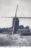 Postkaart/Carte Postale - GEEL - Molen - Bochtmolen (C254) - Geel