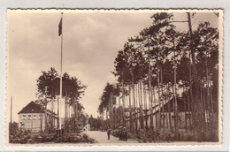 55618 Feldpost Ak Gruß Aus Dem Tiborlager Bei Schiwebus 1944 - Ohne Zuordnung