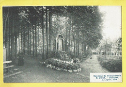 * Bosquet (Saint Ode - Luxembourg - La Wallonie) * (L. Lagaert) Couvent De Beauplateau Saint Coeur, Rare, Cloitre - Sainte-Ode