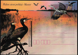 2006 Poland Natural Beauty Of Mazury Postal Stationery Card Set (Unused) - Cygnes