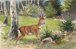 Hunting Chasse  Jagd Hirsch  Reh  Biche  Cerf  Animaux Relief Old  Cpa. - Jagd