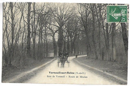 VERNEUIL SUR SEINE - Bois De Verneuil - Route De Meulan - Verneuil Sur Seine