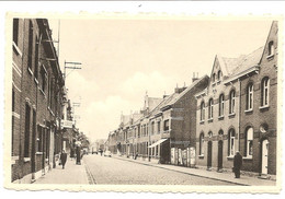 - 2438 -      WILLEBROEK  Rue De La Victoire - Willebrök