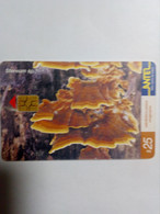 URUGUAY CHAMPIGNON MUSHROOM 25$  UT - Lebensmittel