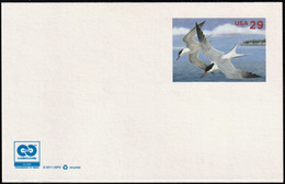 2011 USA Common Tern Prestamped Postal Card (Unused) - Albatros & Stormvogels