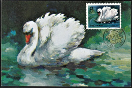 1983 China Swans Maximum Card Set - Cygnes