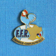 1 PIN'S //  ** F.F.R. / FÉDÉRATION FRANÇAISE DE RUGBY / GRENOBLE COUPE DU MONDE '91 ** - Rugby