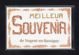 10-CARTE POSTALE DE NOGENT-EN-BASSIGNY - Nogent-en-Bassigny