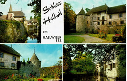 Schloss Halwill Am Hallwilersee - Wiler Bei Utzenstorf