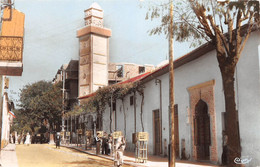 Algérie - MEDEA - La Mosquée - Collection Pignella - Médéa