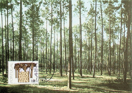 1977 Florestas - Cartoline Maximum
