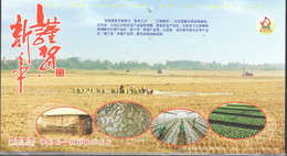 China - Postal Stationery - Agriculture - Paddyfield - Rice - Eel - Harvesting - Greenhouse - Aquaculture - Fish Farming - Agriculture