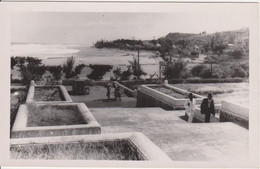 974  - ILE DE LA REUNION - CARTE-PHOTO - ST GILLES LES BAINS - ST PAUL - Saint Paul