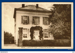 HEVER / Boortmeerbeek - Kasteel Dr. Coen - Château Du Docteur Coen * - Boortmeerbeek