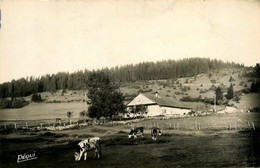 Morteau * Une Ferme Dans La Région * Panorama - Autres & Non Classés