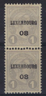 1908  LUXEMBOURG PREO Nr. 53 (2 X) ** MNH Avec Curiosite " Perforation " (état Voir 4 Scans) !   LOT 216 - Prematasellados