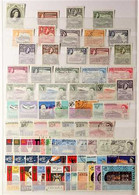 BRITISH WEST INDIES FINE USED COLLECTION, Most Countries From Antigua To Turks & Caicos Islands, Country Ranges Generall - Other & Unclassified