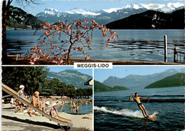 Delcampe - Weggis-Lido - 3 Bilder (129) * 11. 8. 1975 - Weggis
