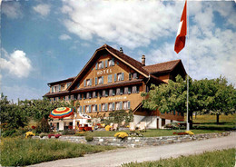 Delcampe - Hotel-Pension Friedheim - Weggis * 11. 5. 1970 - Weggis