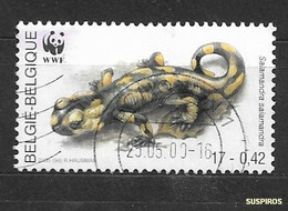 BELGIO - BELGIQUE -BELGIE   2000 World Wildlife Foundation   Common Fire Salamander (Salamandra Salamandra) . USED - Gebruikt