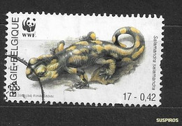 BELGIO - BELGIQUE -BELGIE   2000 World Wildlife Foundation   Common Fire Salamander (Salamandra Salamandra) . USED - Used Stamps