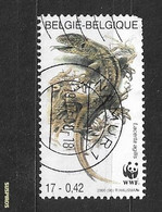 BELGIO - BELGIQUE -BELGIE   2000 World Wildlife Foundation   Sand Lizard (Lacerta Agilis) . USED - Used Stamps