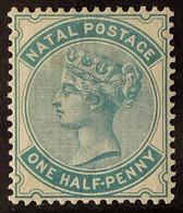 NATAL 1884 ½d Blue-green "CA", SG 97, Fine Mint. For More Images, Please Visit Http://www.sandafayre.com/itemdetails.asp - Non Classificati