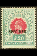 NATAL 1902 £20 Red And Green, Ed VII, Ovptd "Specimen", SG 145bs, Very Fine Mint, Large Part Og. For More Images, Please - Non Classificati