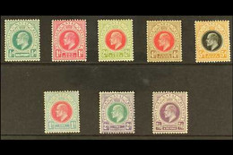 NATAL 1904 Ed VII Set, Wmk MCA, Complete To 2s 6d, SG 146/57, Vf Mint. (8 Stamps) For More Images, Please Visit Http://w - Non Classificati