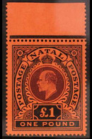 NATAL 1908-09 KEVII £1 Purple & Black On Red, SG 171, Fine Mint Marginal Example, Two Tiny Black Ink Spots On Reverse (a - Non Classificati