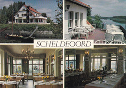 Hamme, Café Restaurant Scheldeoord (pk76454) - Hamme