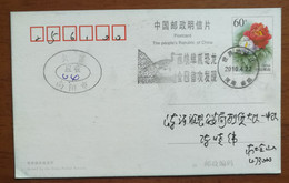 New Discovered Fossil Of Mononykus Dinosaur Species,China 2010 Xixia World Earth Day Illustrated Postmark Used On Card - Fossils