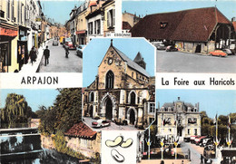 91-ARPAJON- MULTIVUES - Arpajon