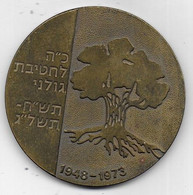 Médaille Du 25e Anniversaire De L' Etat D' ISRAEL - 1948 - 1973 - Autres & Non Classés