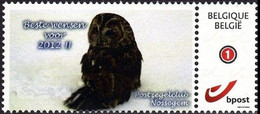 DUOSTAMP** / MYSTAMP** - Meilleurs Voeux Pour / Beste Wensen Voor / Beste Wünsche Für - 2012!! - Postzegelclub Nossegem - Mint