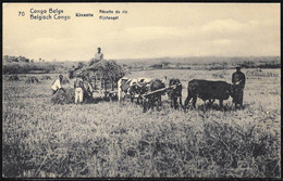 Congo Belga/Belgian Congo/Congo Belge: Intero, Stationery, Entier, Raccolto Del Riso, Rice Harvest, Récolte Du Riz - Agriculture