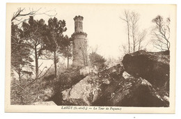 LARDY (Essonne 91) Tour De Poquency (Pocancy Janville Sur Juine, Forêt, Rochers) Collection Artistique E. Rameau Etampes - Lardy