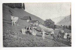 OBERWIL I.S. Landwirtschaft Bauernfamilie Mit Kühen Gel. 1905 Ambulant No. 15 N. Meisterschwanden - Schwanden Bei Brienz