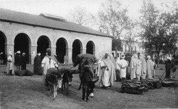 Algérie - ORLEANSVILLE (Chlef) - Halle Aux Grains Et Marché En Plein Air - Anes - Carte-Photo Epreuve De L'éditeur - Chlef (Orléansville)